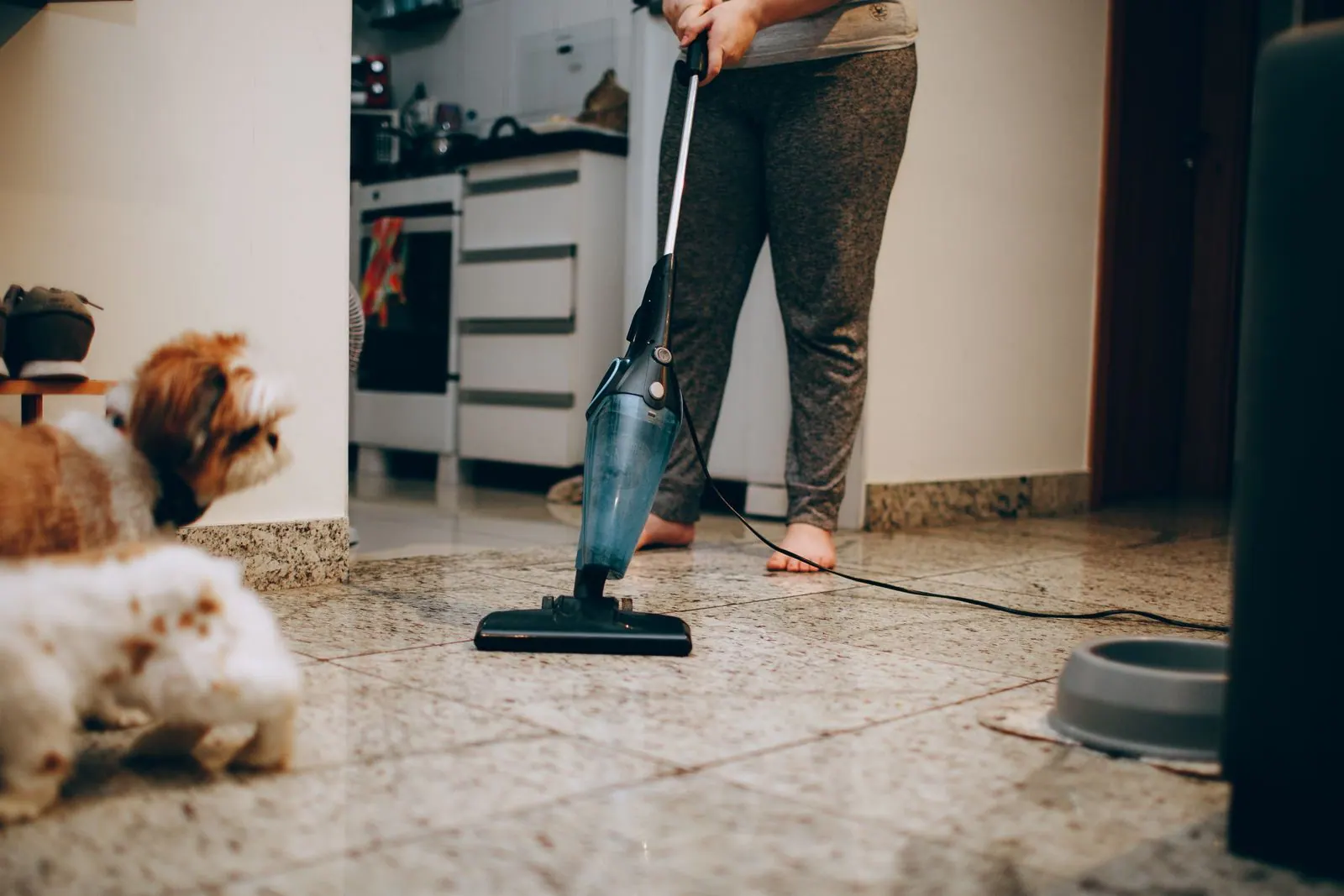A cleaner vacuuming a home while dogs look on